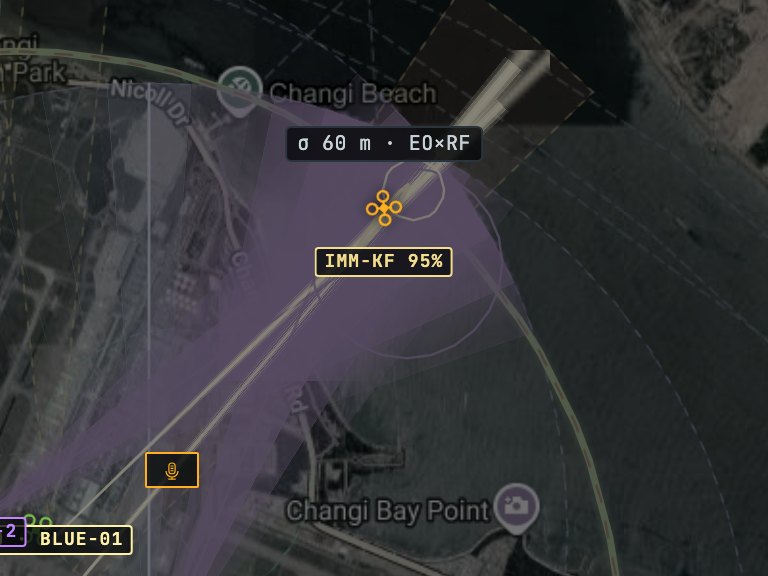 Simulation: plus site camera